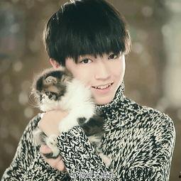 实名爆料王俊凯视频下载,揭秘幕后真相 第2张 实名爆料王俊凯视频下载,揭秘幕后真相 第2张